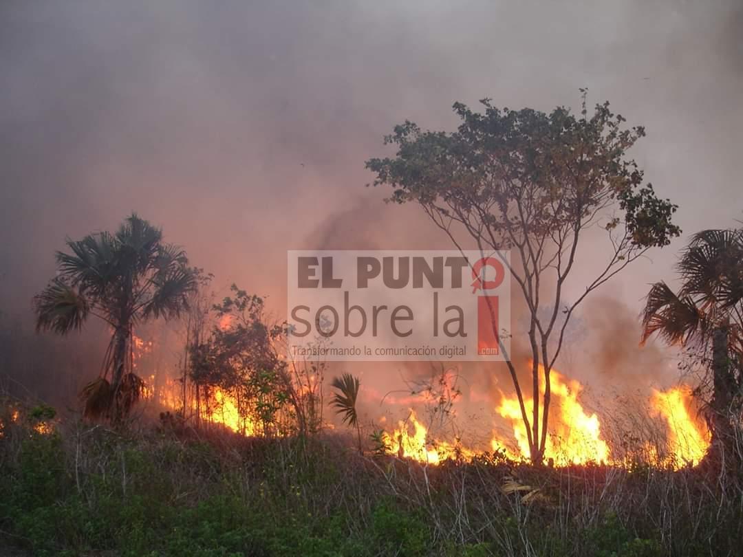 Frenan incendio que amenazaba comunidad en Bacalar