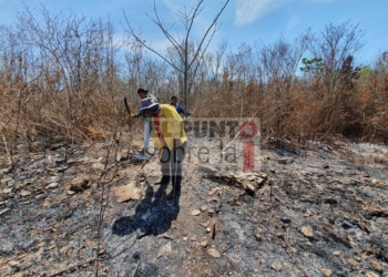 Luego De Arduo Trabajo Liquidan Incendio Forestal En Leona Vicario