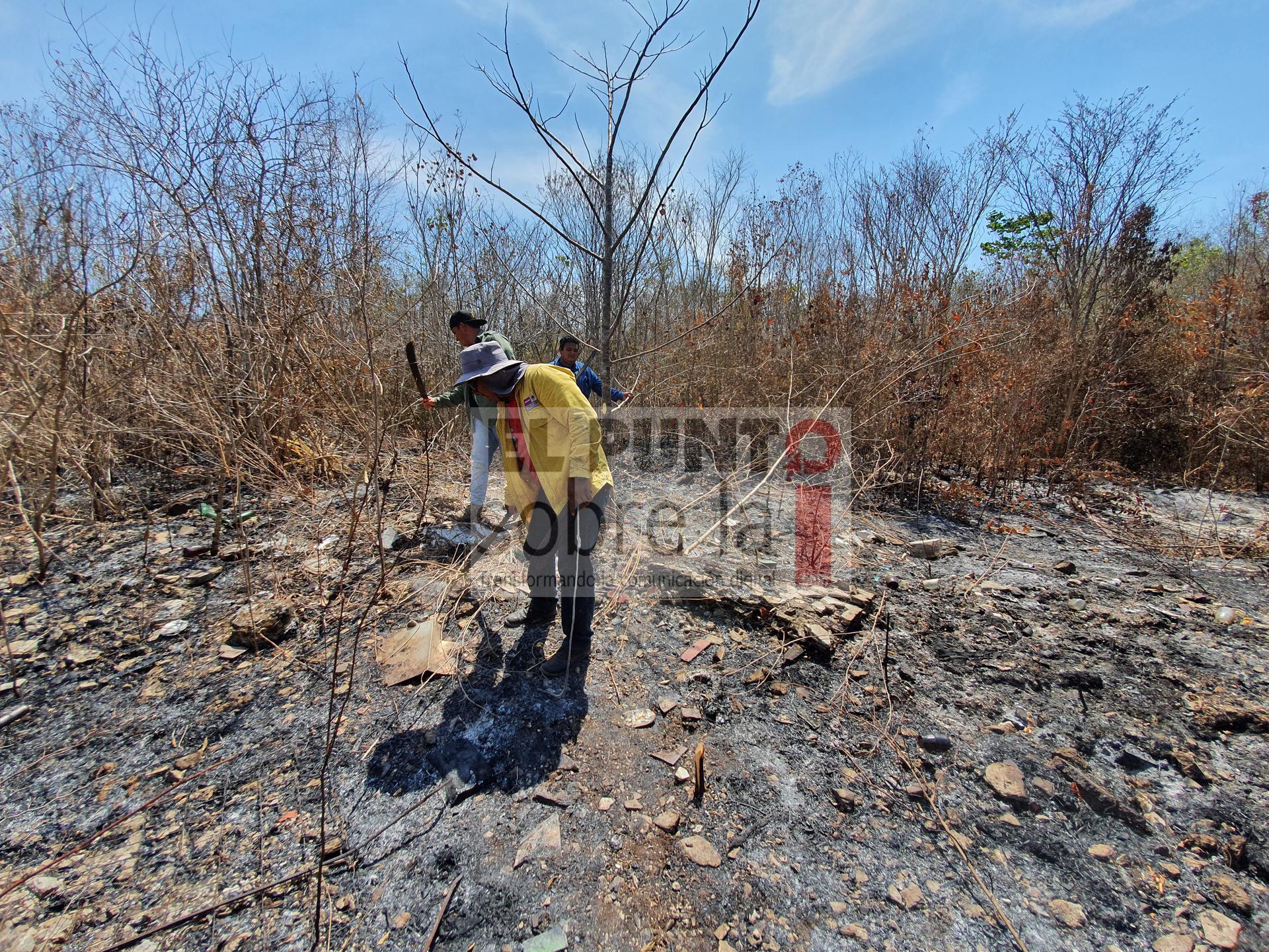 Luego De Arduo Trabajo Liquidan Incendio Forestal En Leona Vicario
