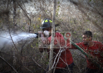 Se Mantienen Activos Dos Incendios Forestales En La Delegación De Leona Vicario