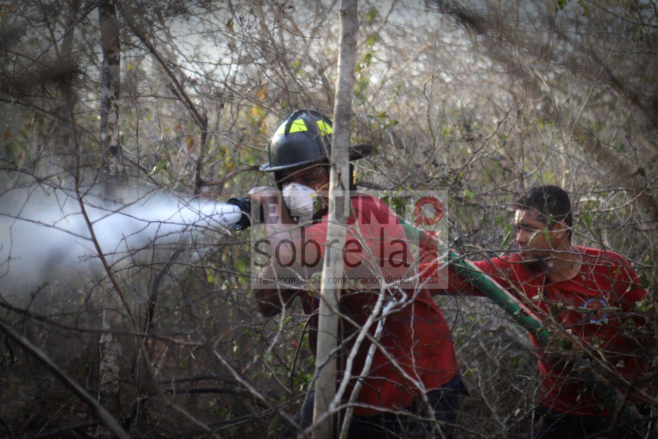 Se Mantienen Activos Dos Incendios Forestales En La Delegación De Leona Vicario