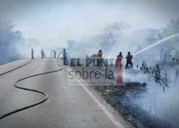Combaten Tres Incendios Forestales En Leona Vicario