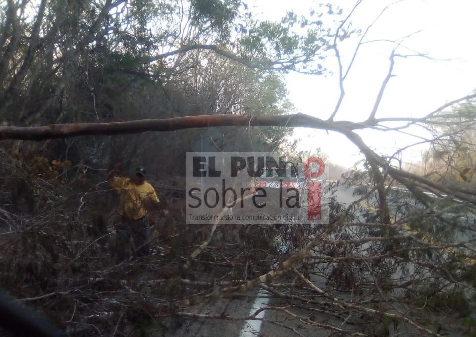 Incendios afectan infraestructura eléctrica