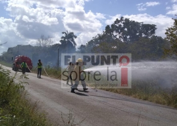 Conatos de incendios a la orilla de la carretera federal 184, José María Morelos-Polyuc