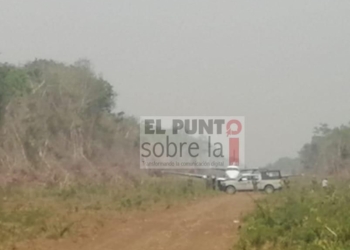 Aseguran narco-avioneta cerca de la comunidad de Reforma del municipio de Bacalar