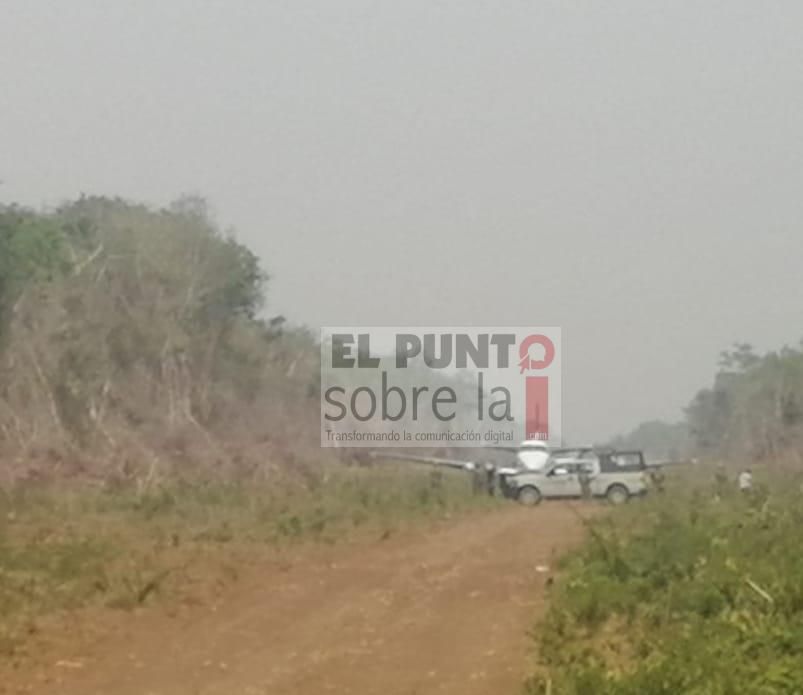 Aseguran narco-avioneta cerca de la comunidad de Reforma del municipio de Bacalar