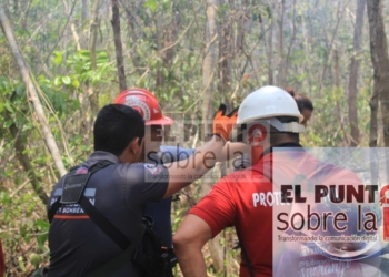 Intervención Oportuna Contiene Incendio Al Poniente De Playa Del Carmen