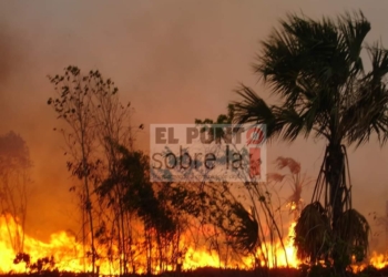 Suspenden quemas agropecuarias en Quintana Roo