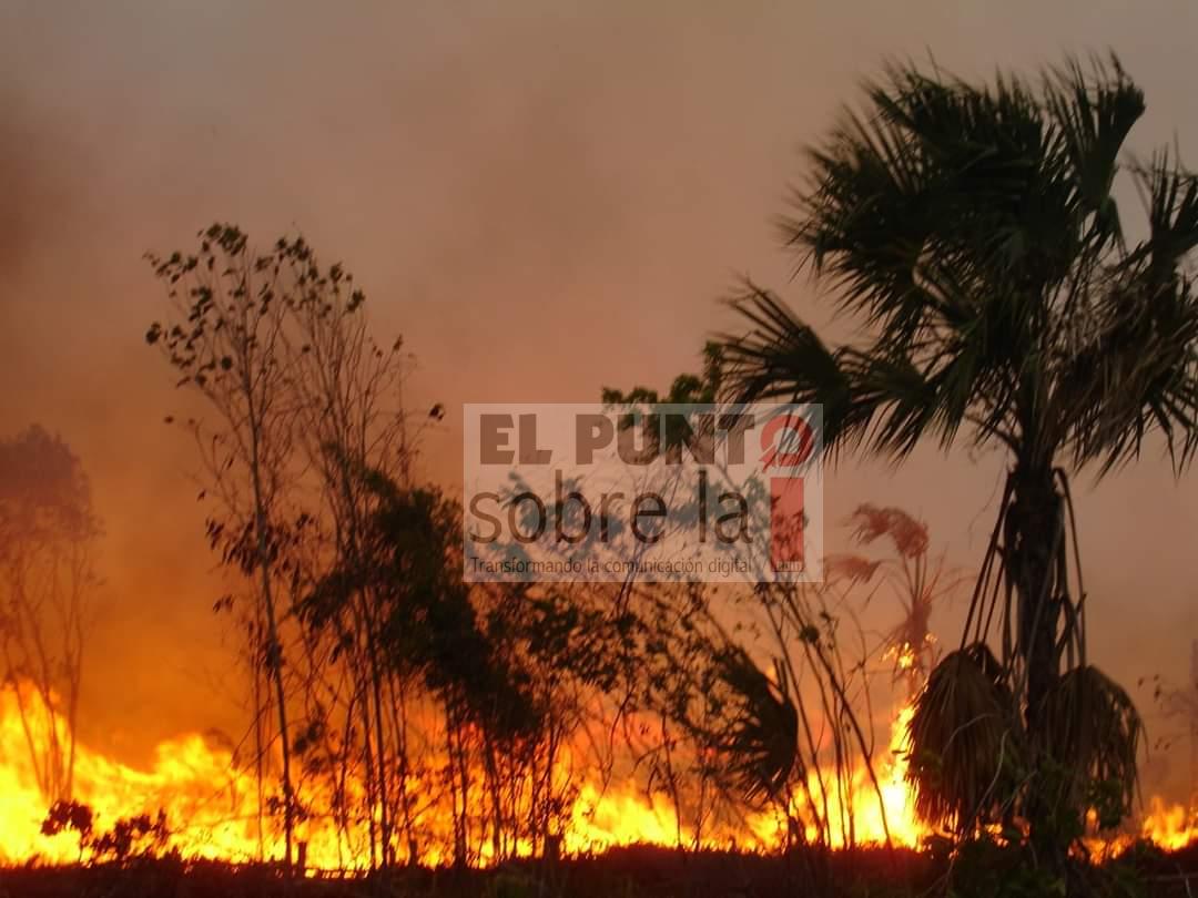 Suspenden quemas agropecuarias en Quintana Roo