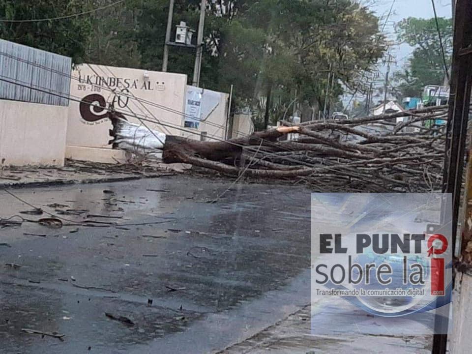 Ingreso asombroso y desolador