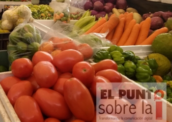 Consumir productos de origen natural fortalece el sistema inmunológico