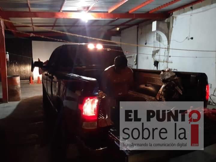 Le quería dar su zanahoria al caballo