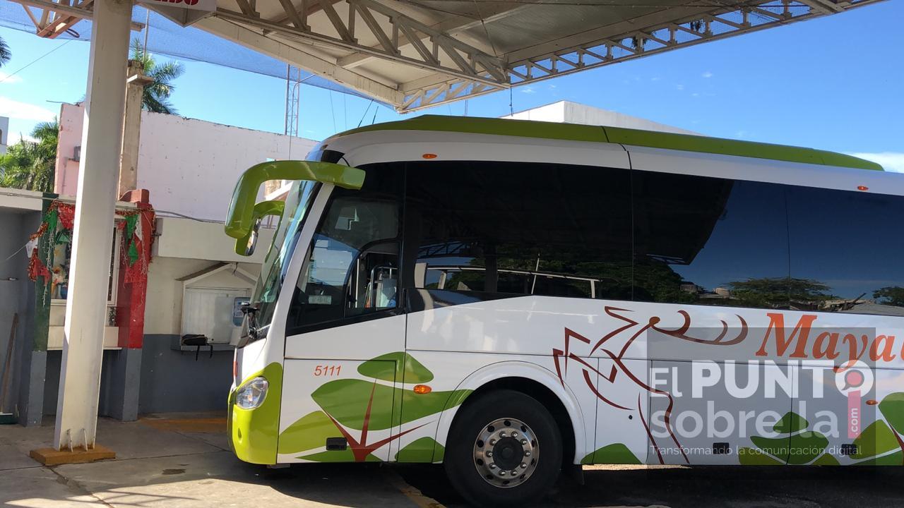 Este lunes la empresa de autobuses Mayab inició operaciones en la ciudad de FCP