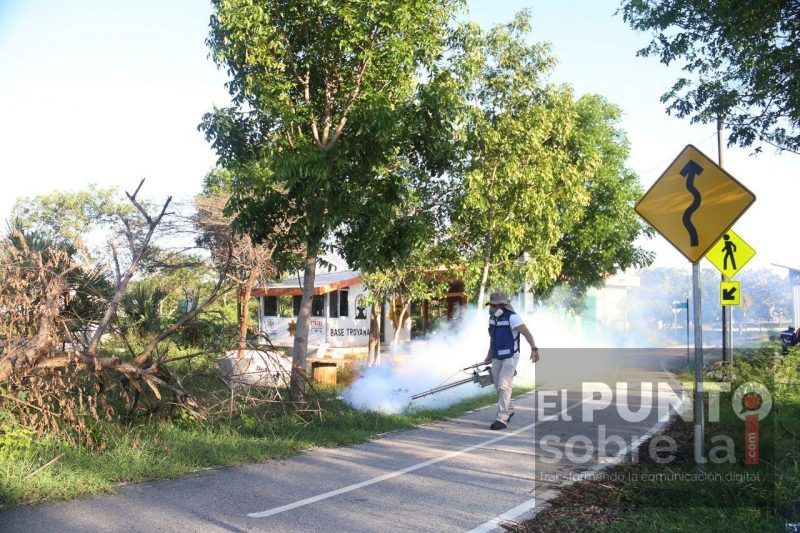 Inician combate al mosco en la entidad, tras las inundaciones que dejó a su paso «Cristóbal»