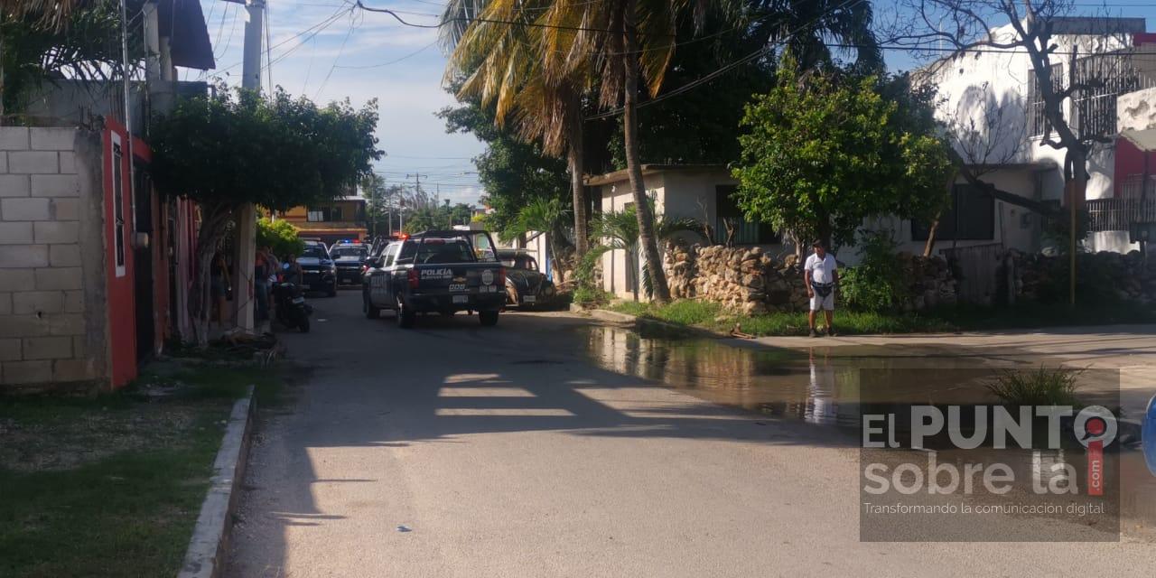 Catean domicilio en la colonia Forjadores