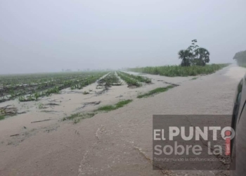 Lluvias afectan a 5 mil hectáreas de caña
