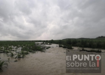 En riesgo 10 mil hectáreas de caña por inundaciones