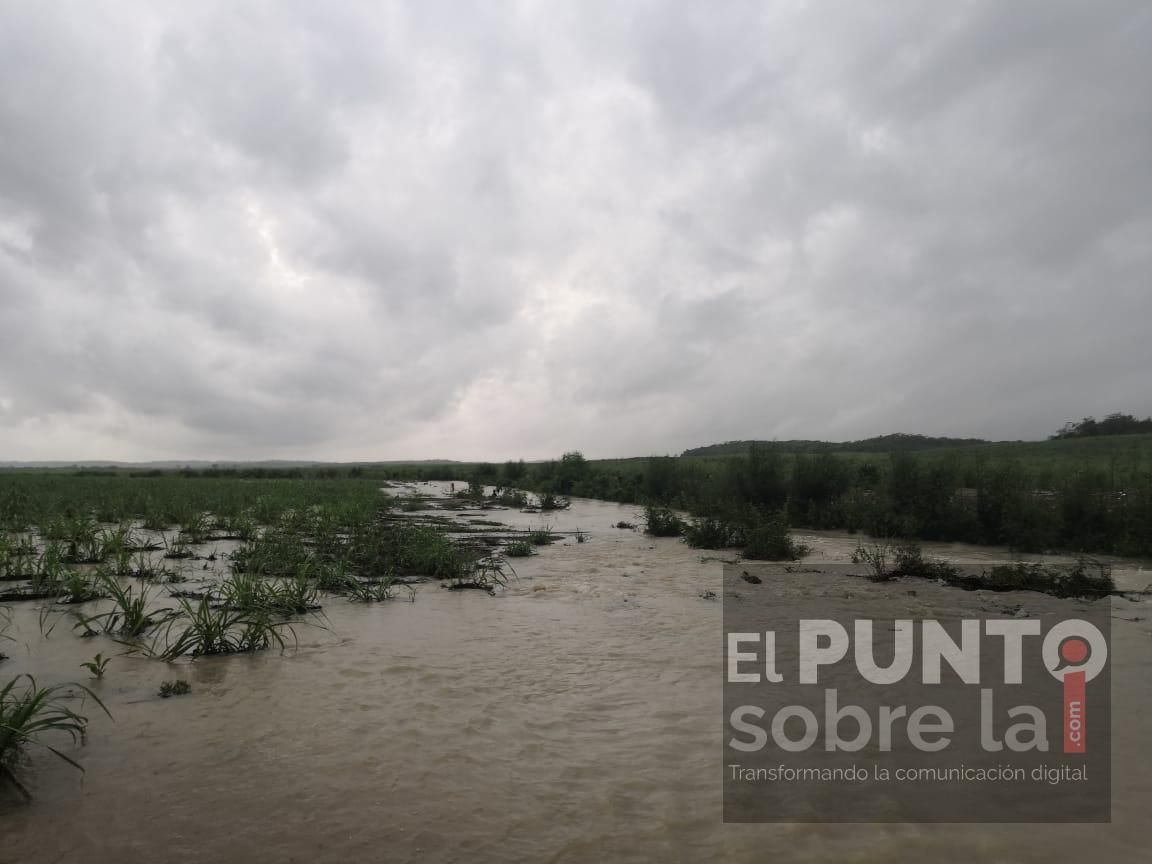 En riesgo 10 mil hectáreas de caña por inundaciones