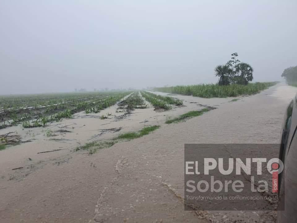 Lluvias afectan a 5 mil hectáreas de caña
