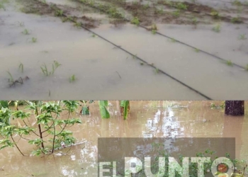 Tormenta tropical “Amanda” dejó afectaciones en el campo