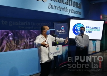 Busca delfinario recuperarse después del Covid 19