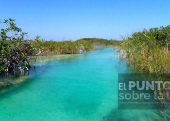 ONGs ambientales dicen no a recortes del gobierno federal