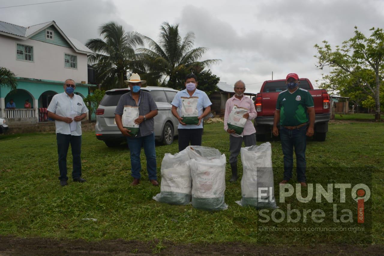 5 toneladas semilla de pasto para la rehabilitación de praderas de la unidades ganaderas de Quintana Roo