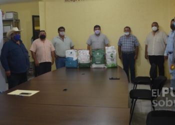 Entrega gobierno de Quintana Roo 5 toneladas de semilla de pasto a través del Programa Peso Por Peso