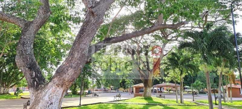 Se reporta la primera muerte por Coronavirus en Uayma