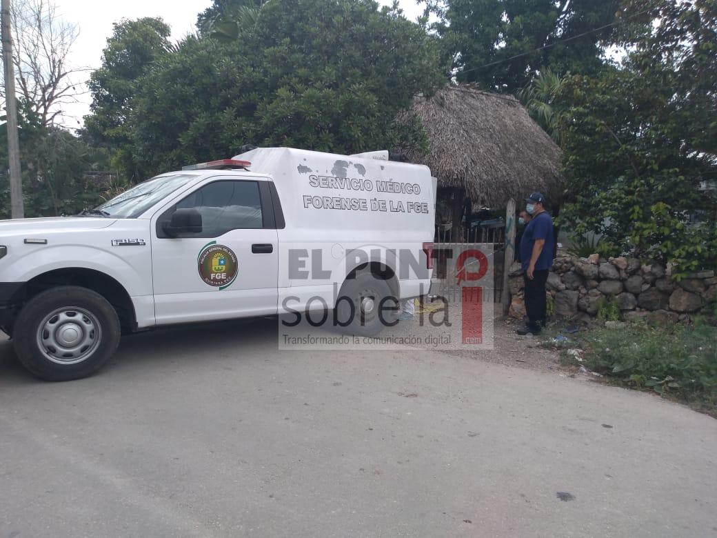 Muerte instantánea, se cae del árbol de guayas