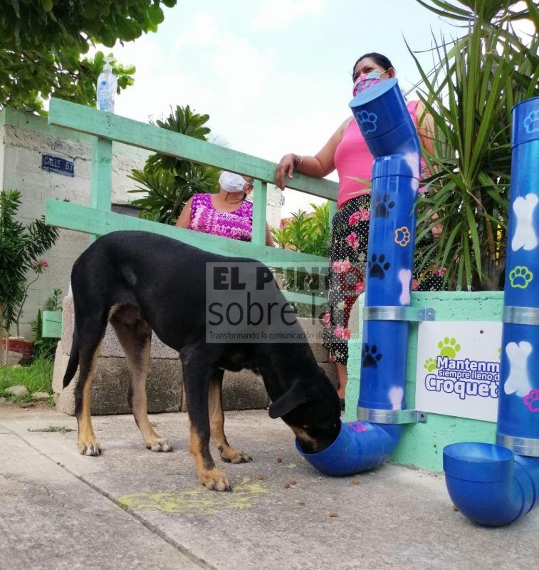 Llega la ayuda al “mejor amigo del hombre”, en una zona de la Capital