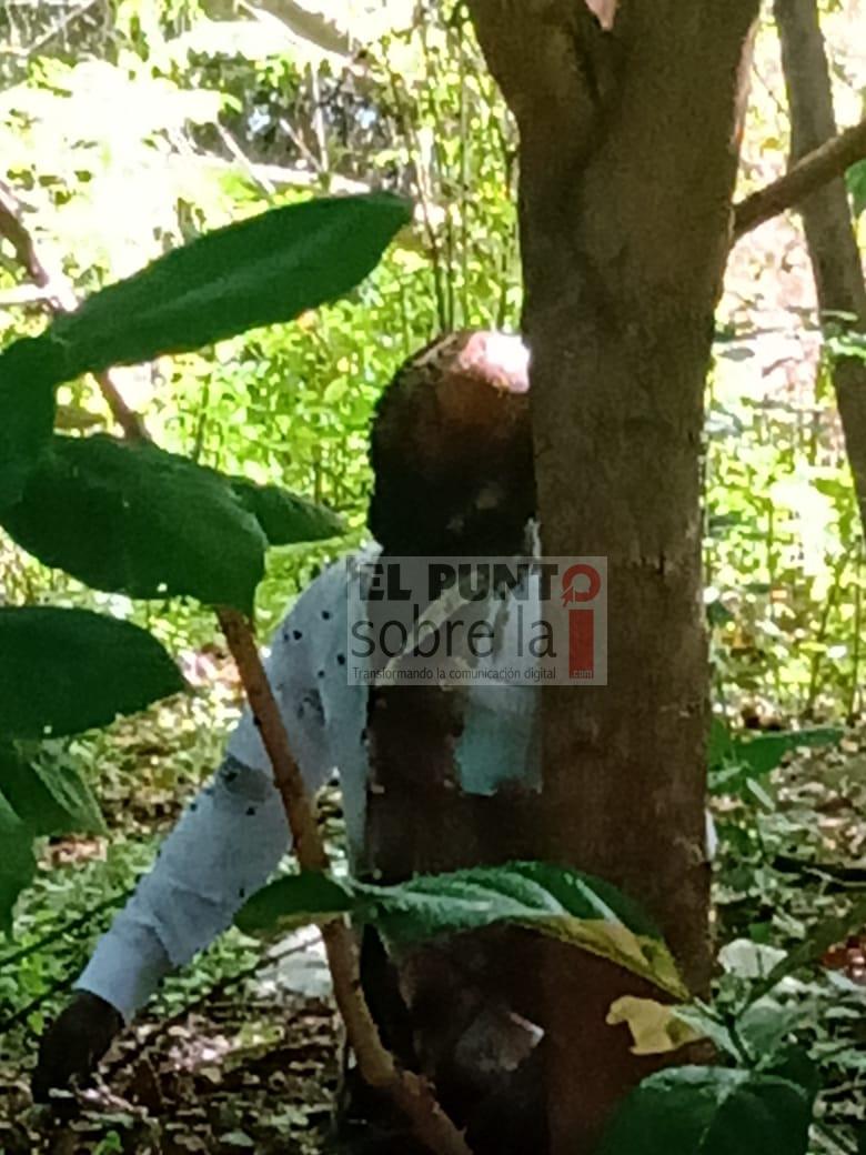 Se ahorcó en un árbol