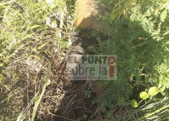 Murió atropellado en el entronque a Mahahual
