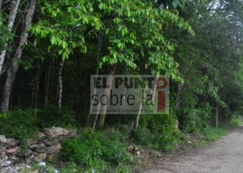 Lotes baldíos utilizados como basureros clandestinos en Jose Maria Morelos
