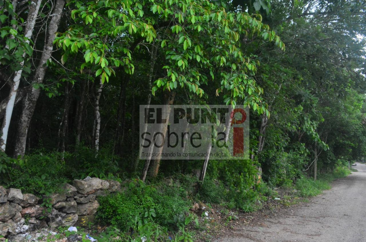 Lotes baldíos utilizados como basureros clandestinos en Jose Maria Morelos