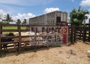 Ganaderos conforman un centro de acopio JUQUILITA para la compra de becerros