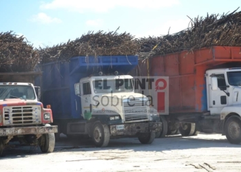 Inicia el 22 de julio liquidación cañera
