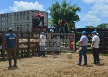 Fortalecen actividad ganadera y reactivan economía en este sector