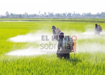 Glifosato y agroecología,  problemática