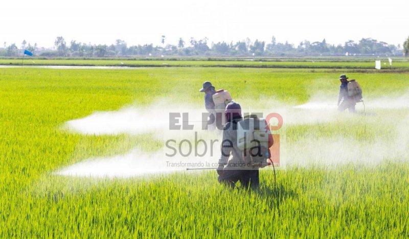 Glifosato y agroecología,  problemática