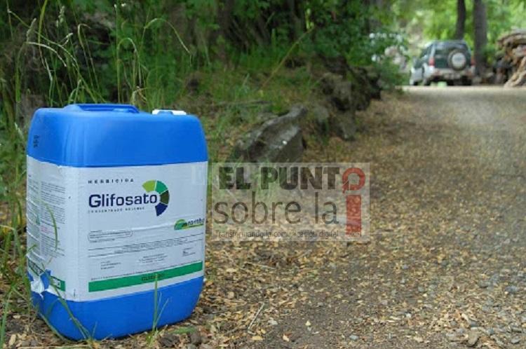 Glifosato y agroecología. II propuesta
