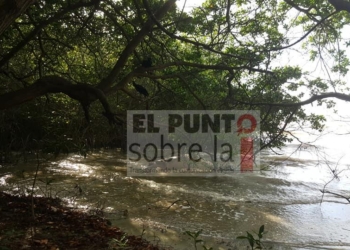 Otro manatí muerto en las orilla de la Bahía de Chetumal