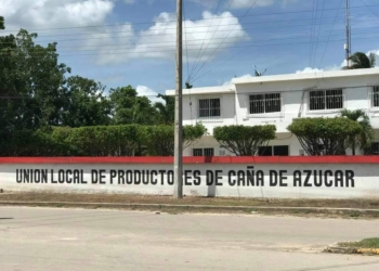 Proagro acepta indemnizar a los productores de caña