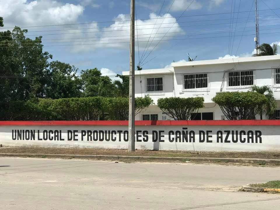 Proagro acepta indemnizar a los productores de caña