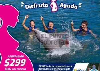 Delphinus y VIFAC convocan a quintanarroenses a apoyar mujeres embarazadas en situación de vulnerabilidad