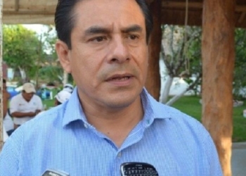 Se auto descarta un buen gallo en Bacalar; “Francisco Flota Medrano”