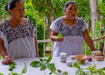 Medicina tradicional podría tratar síntomas del Covid-19