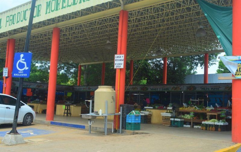 Mercado del productor continúan a la baja