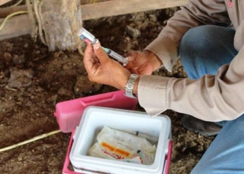 Combaten la rabia paralítica en Quintana Roo