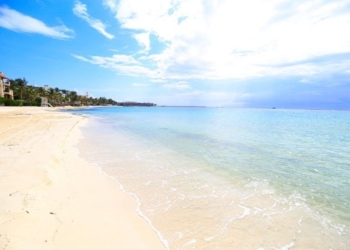 Se mantienen limpias de sargazo las playas en Solidaridad